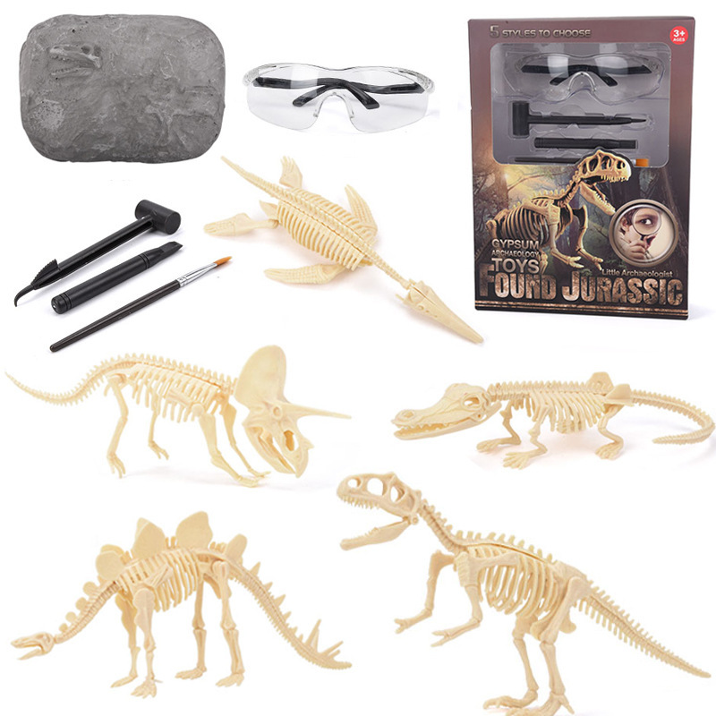 Science Toys - Dinosaurus Fossielen Opgraving Kit STEM: Ontdek