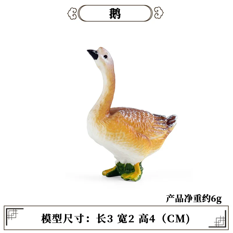 Science Toys - Onderwijs Leermiddel Gevogelte Dier Mini Model